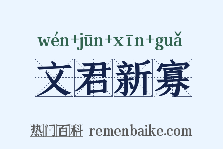 文君新寡是什么意思的图片